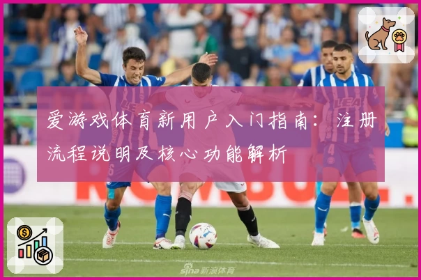 爱游戏体育新用户入门指南：注册流程说明及核心功能解析
